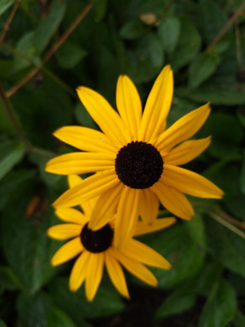                                                                                                  Фото автора статьи