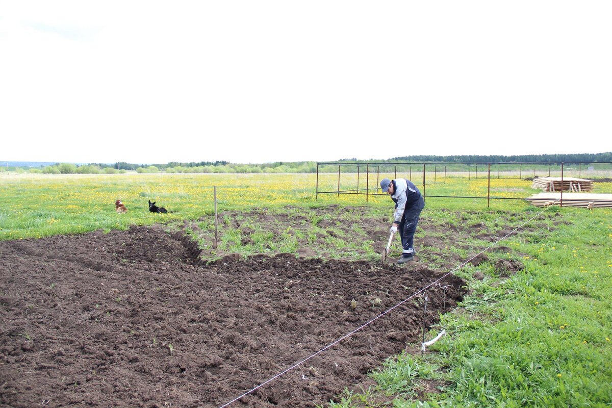 перекопка весной вручную