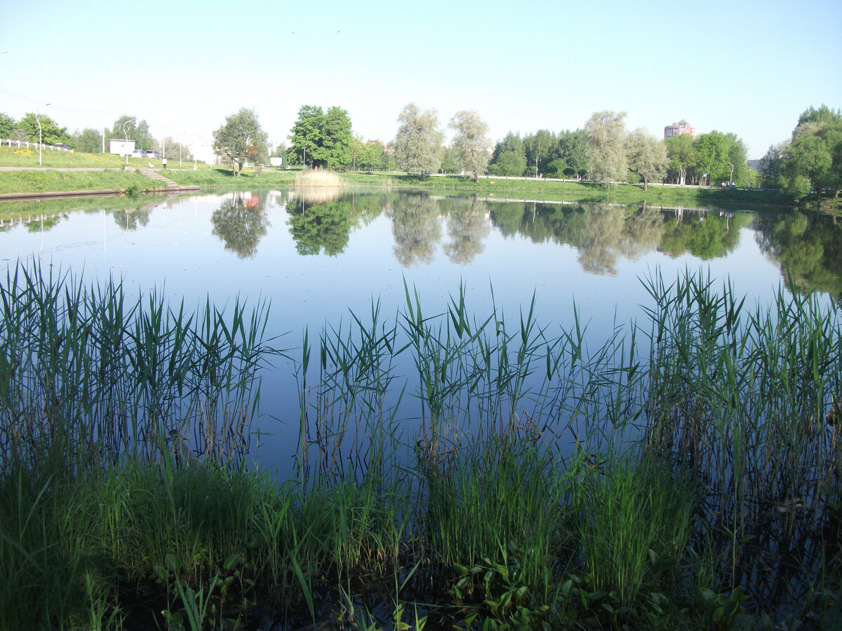 Для здоровья.