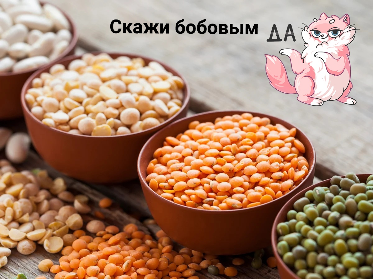 Бобовые улучшат работу ваших сосудов и помогут стимулировать работу сердца!