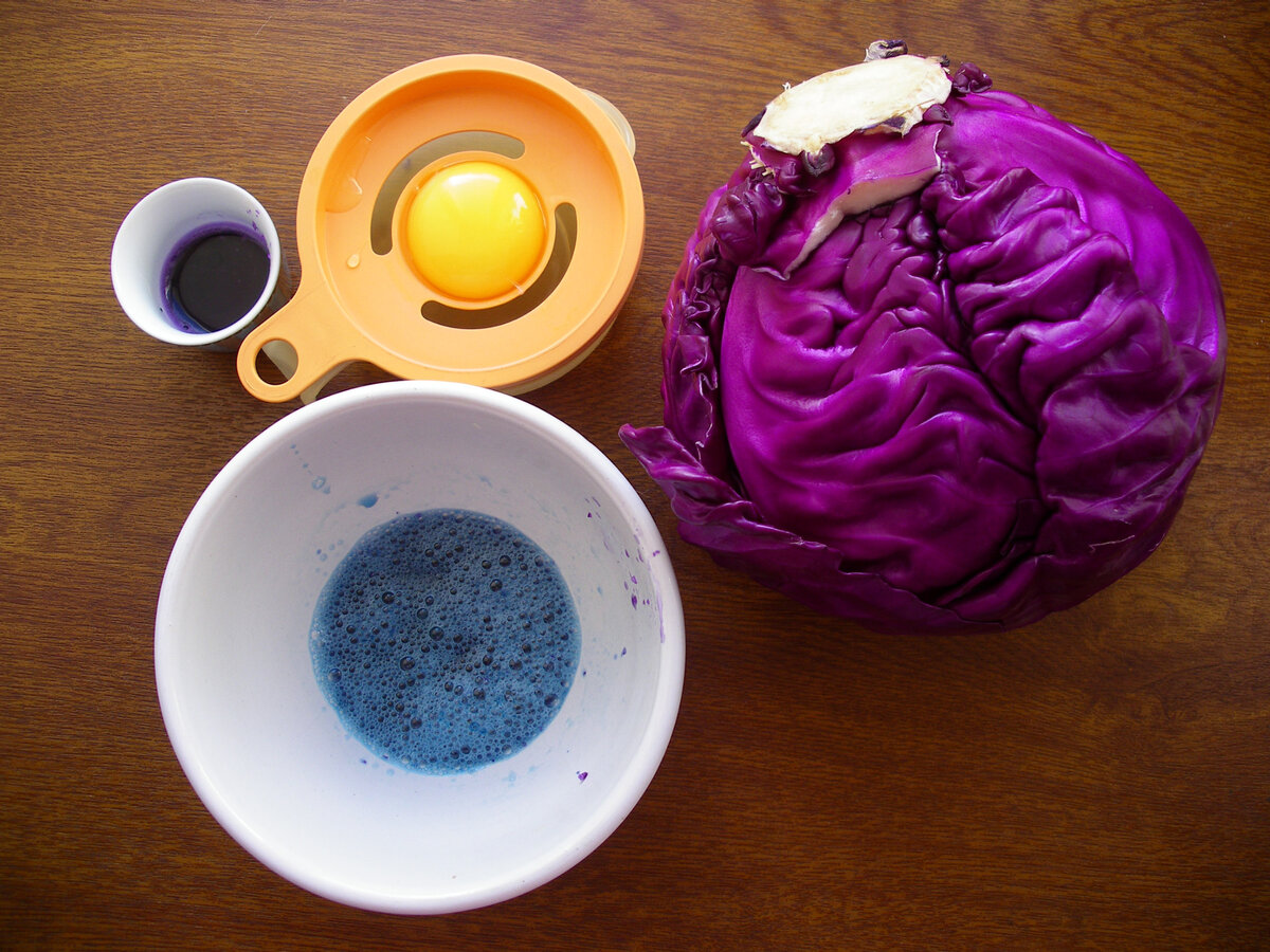 Ответственная за синеву - краснокочанная капуста.