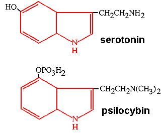 5-HT2 – состоит из 3-х подтипов. Самая наркоманская группа рецепторов. Каждый, уважающий себя психонавт или человек, любящий состояния измененного сознания, расскажет об этих рецепторах не хуже академика. Именно эти рецепторы активируются при принятии ЛСД и других популярных психоделиков, гиперболизируя внешние шумы, вроде полета стрекозы до огромной шестилапой жужжащей твари.