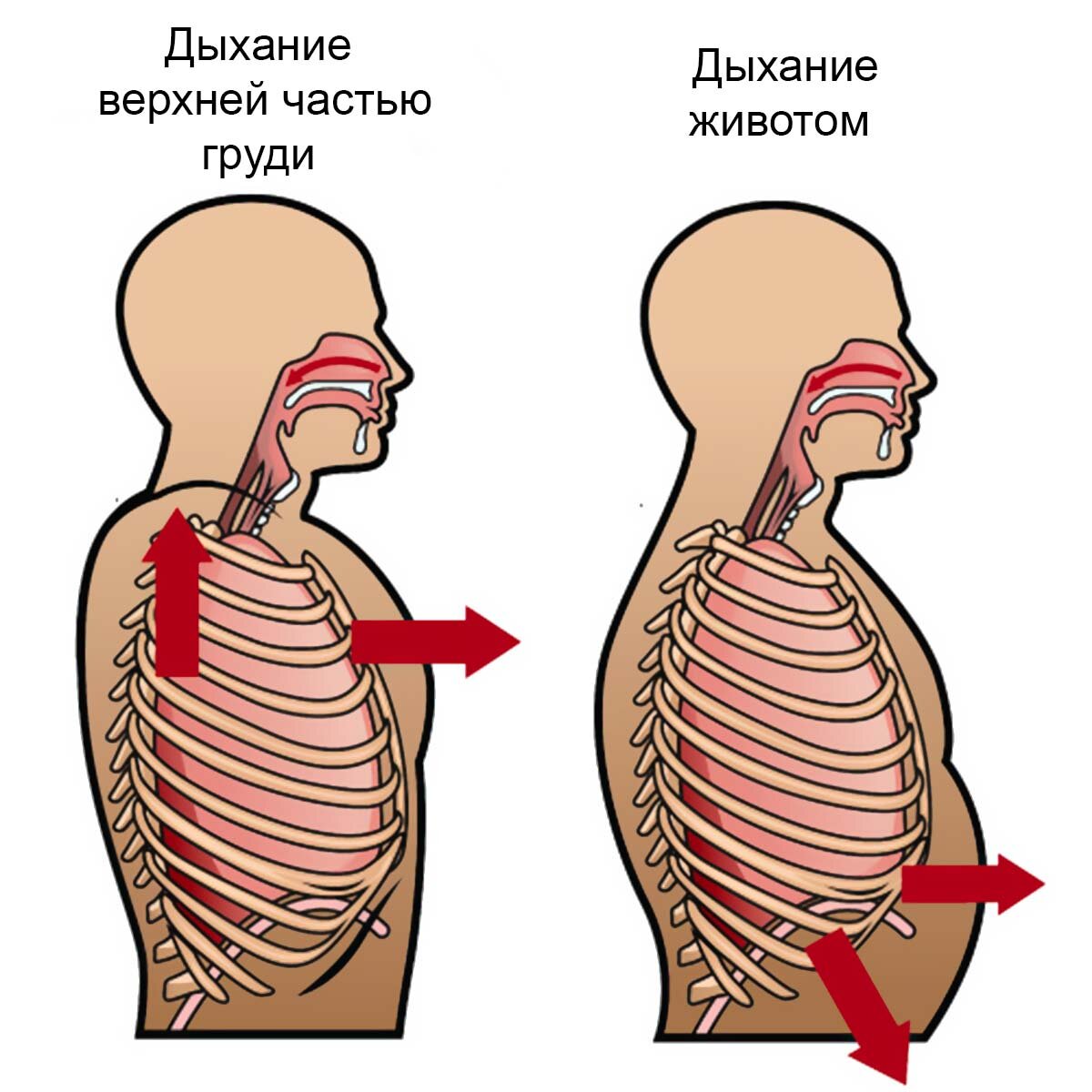 если тяжело дышать полной грудью фото 82