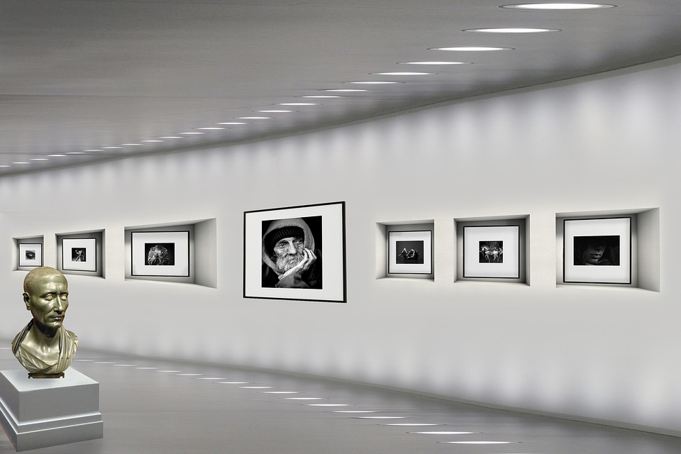 https://pixabay.com/ru/photos/%D0%B3%D0%B0%D0%BB%D0%B5%D1%80%D0%B5%D1%8F-%D0%B8%D1%81%D0%BA%D1%83%D1%81%D1%81%D1%82%D0%B2%D0%BE-%D1%84%D0%BE%D1%82%D0%BE%D0%B3%D1%80%D0%B0%D1%84%D0%B8%D0%B8-%D0%BC%D1%83%D0%B7%D0%B5%D0%B9-4242219/