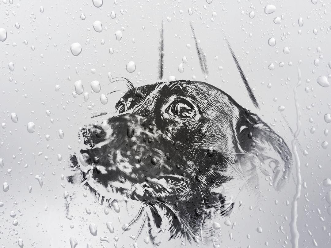 Я хочу быть рядом....