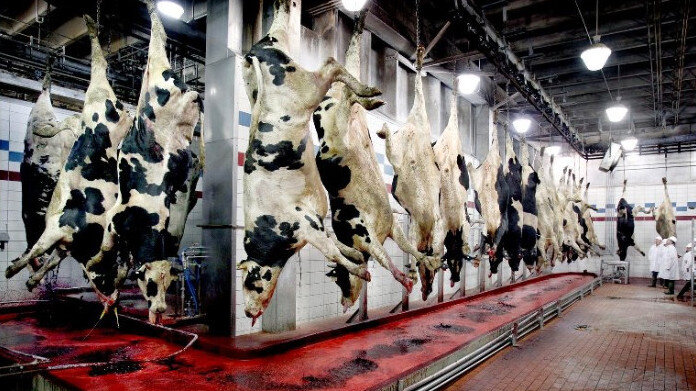 Беды от мяса: вреды и последствия для здоровья