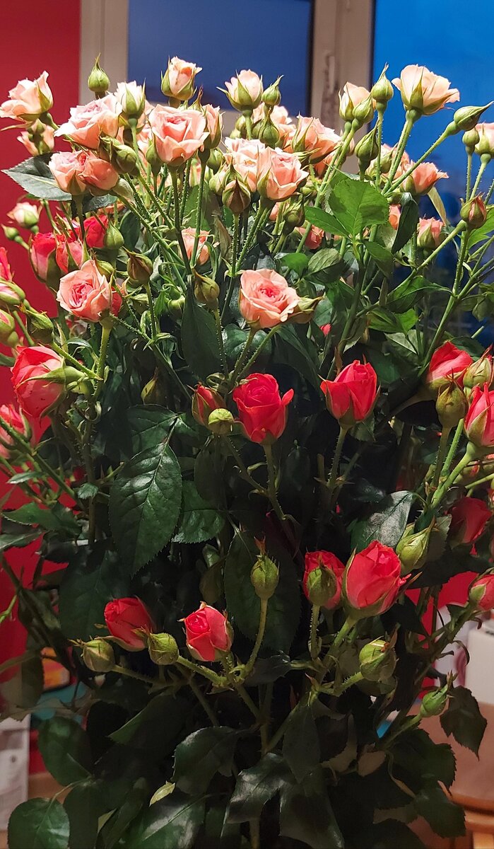 просто цветы для моих читателей