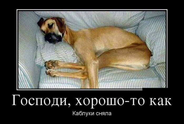 Взято из открытых источников.