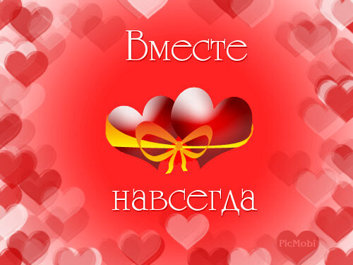 картинка из интернета