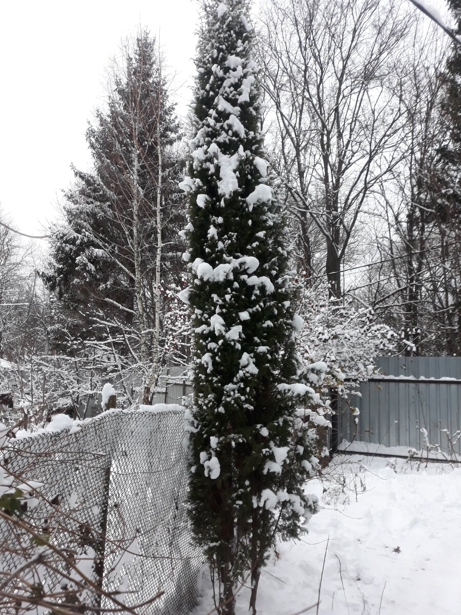 Вот моя деревня.