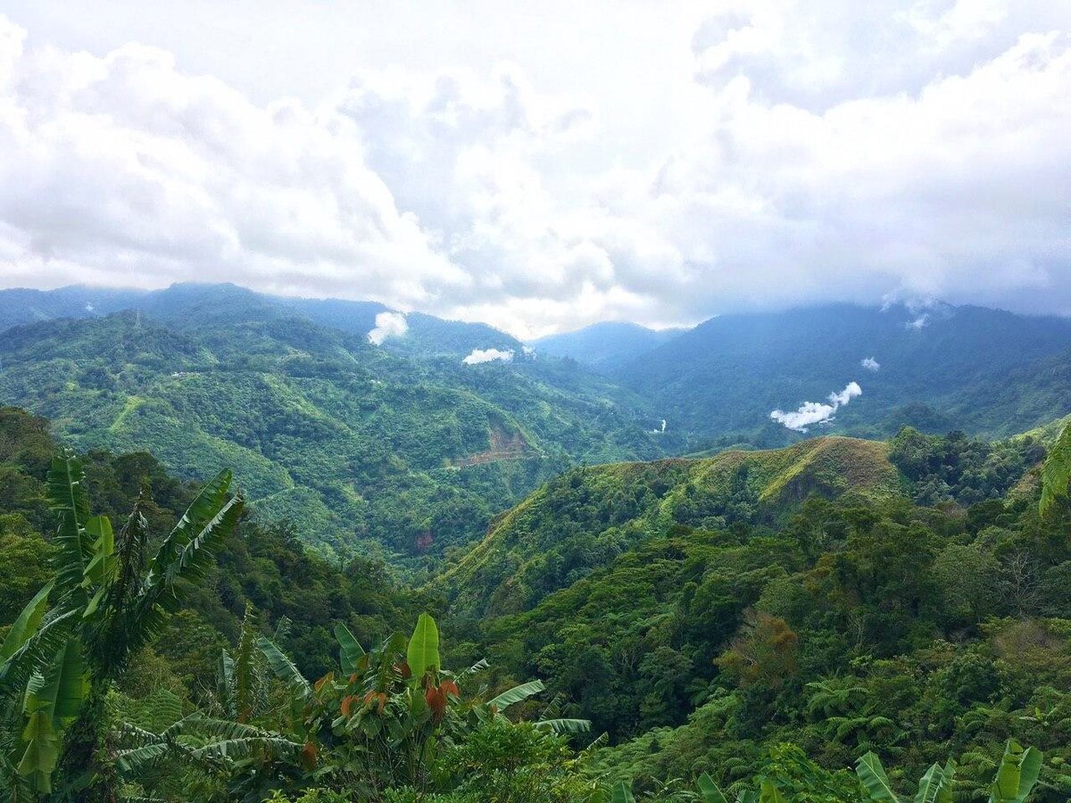 Говорят, что ИГИЛ, коммунисты-партизаны и прочие преступники скрываются в горах острова Минданао.