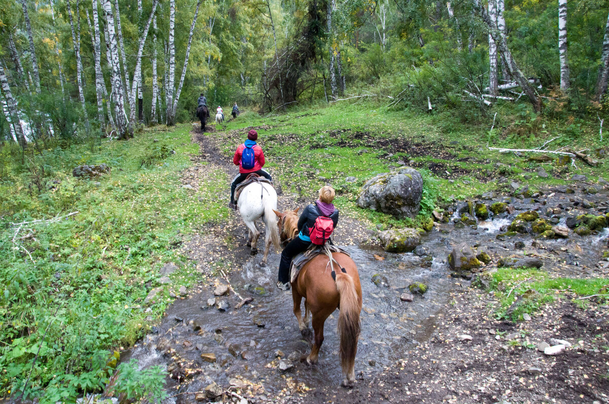 Чтобы покататься на лошадях вдоль реки Катунь, достаточно одного дня. Туроператоры готовы предложить и многодневные конные переправы, но это на любителя.