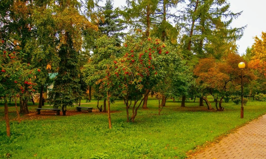 Сквер Николая Ершова (Чеховский сквер)
