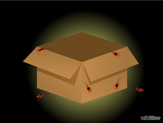 1. Выясните, есть ли у вас дома тараканы. Тараканы (см. картинку) - обычно от среднего до крупного размера насекомые. В некоторых частях мира они могут быть очень крупными. У них тонкие лапки и длинные усы. Если вы заметили только одного таракана дома, это значит, что где-то поселилось их целое семейство. Проблема заключается в том, что тараканы обычно прячутся в течение дня, поэтому, если не удается обнаружить их местоположение, то проверьте кухонные шкафы и места хранения продуктов на наличие помета насекомых -- это очень маленькие коричневые слизистые пятнышки или гранулы.

