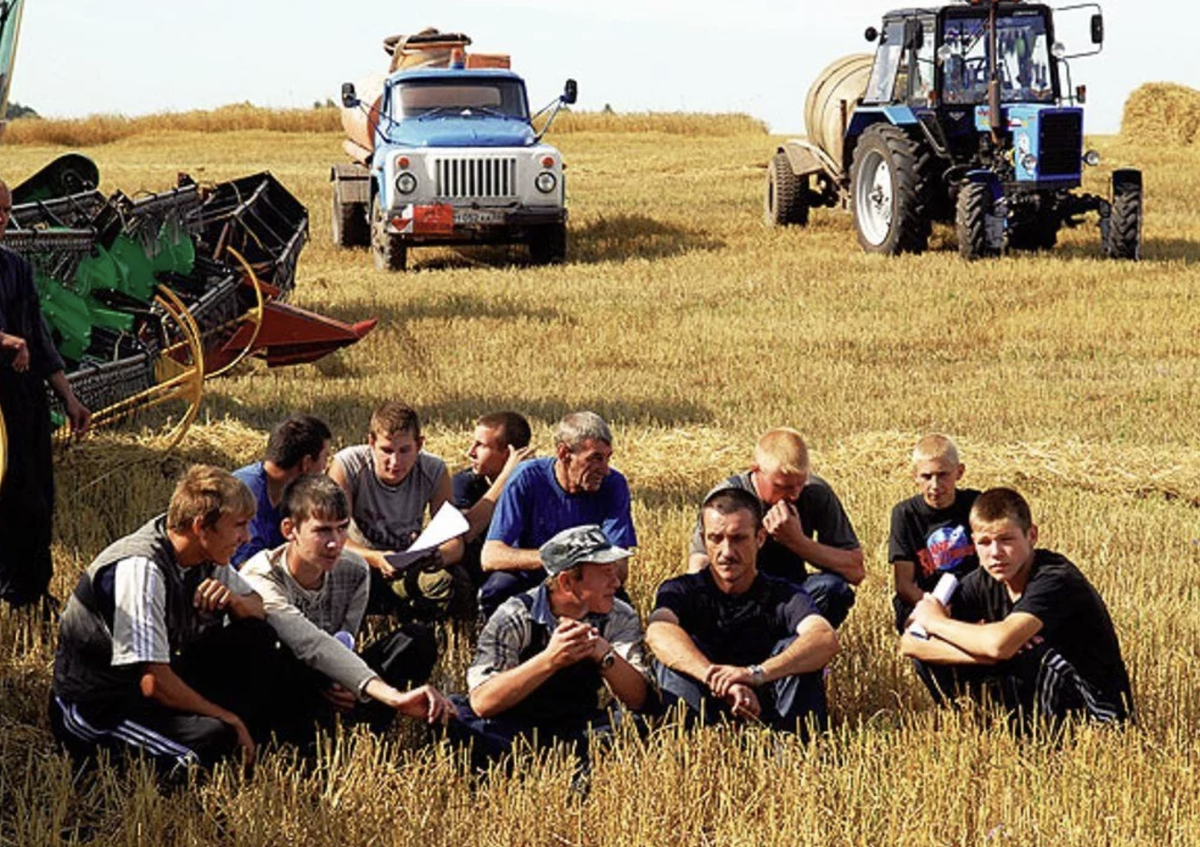 Сельчане на работе.
