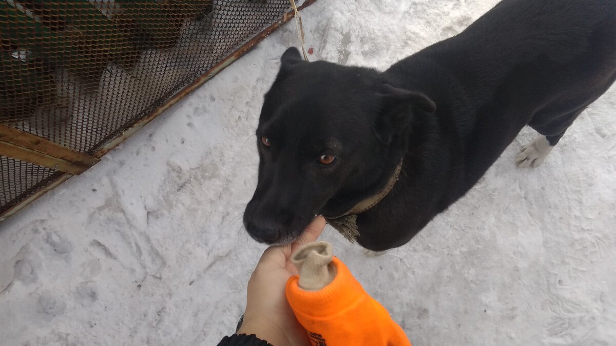 Поглаживаю мордочку 😄