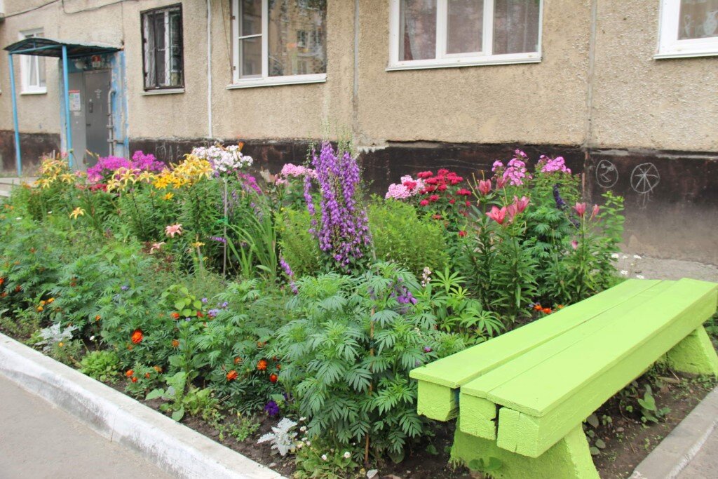 Фото из свободного источника