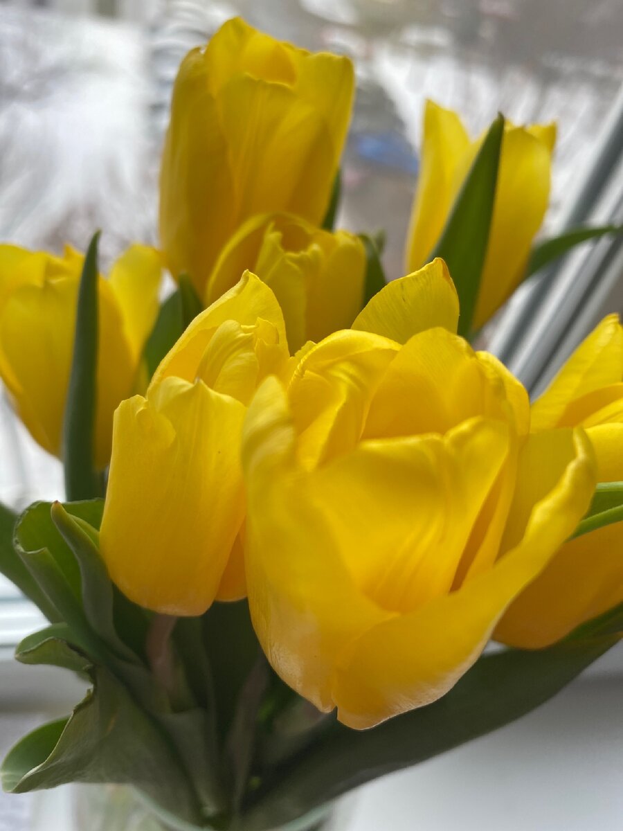 Фото из личного архива 