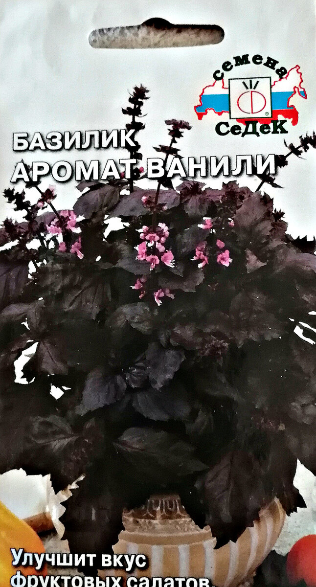 Растение высотой 30–40 см, хорошо ветвится, имеет насыщенный пряный аромат с нотками ванили, большой выход листовой массы, отличные вкусовые качества, устойчив к пониженному освещению, можно выращивать в комнатных условиях.