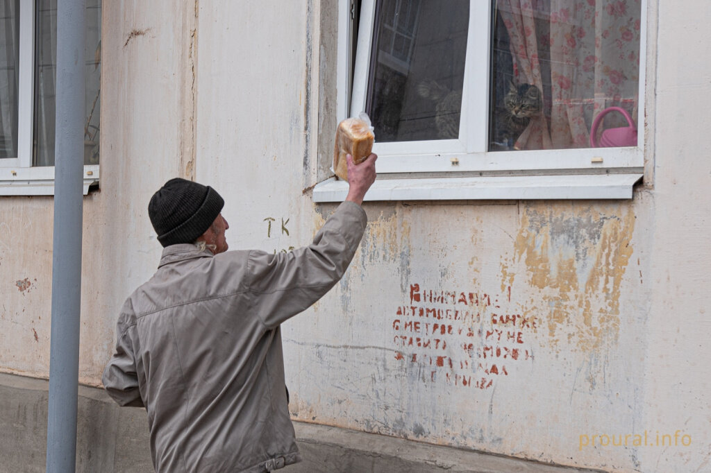 Google картинки