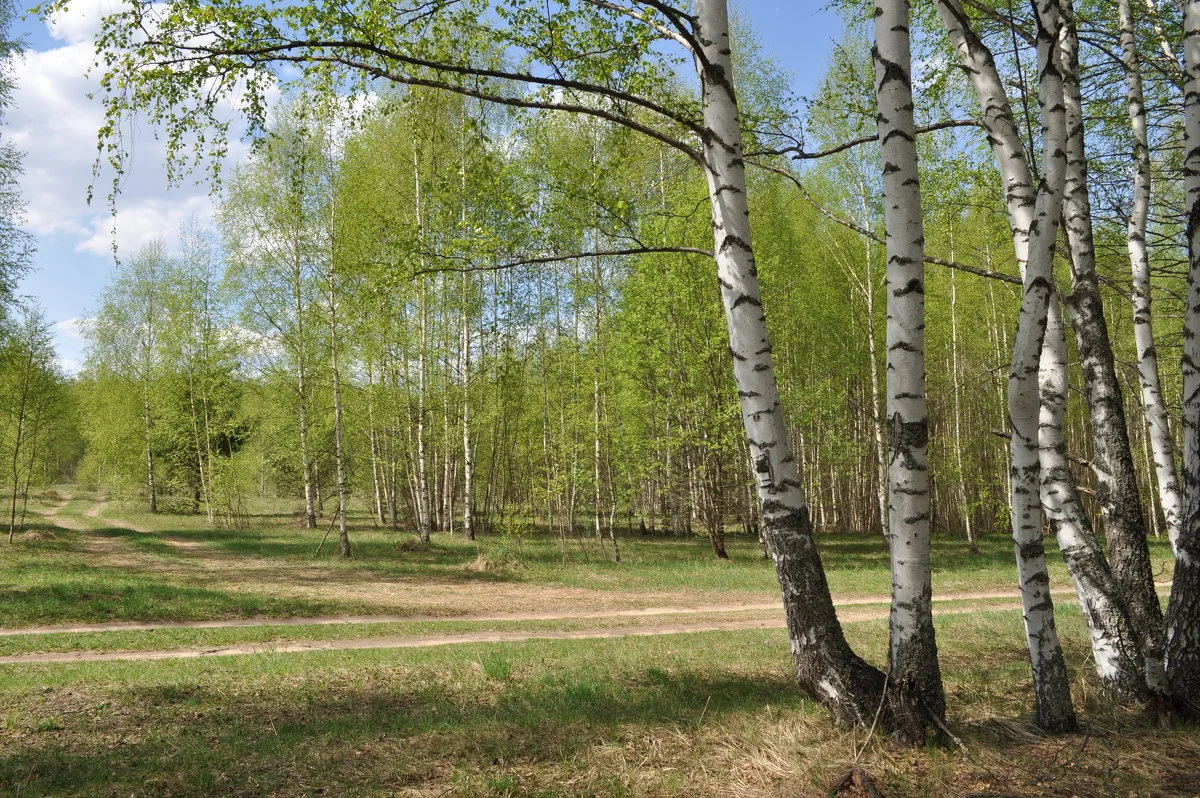 фото из интернета