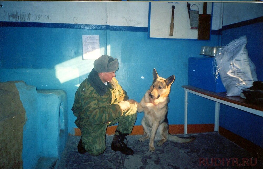 На заставском питомнике