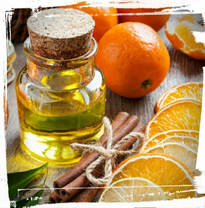 Фото взято с сайта https://shkolazhizni.ru