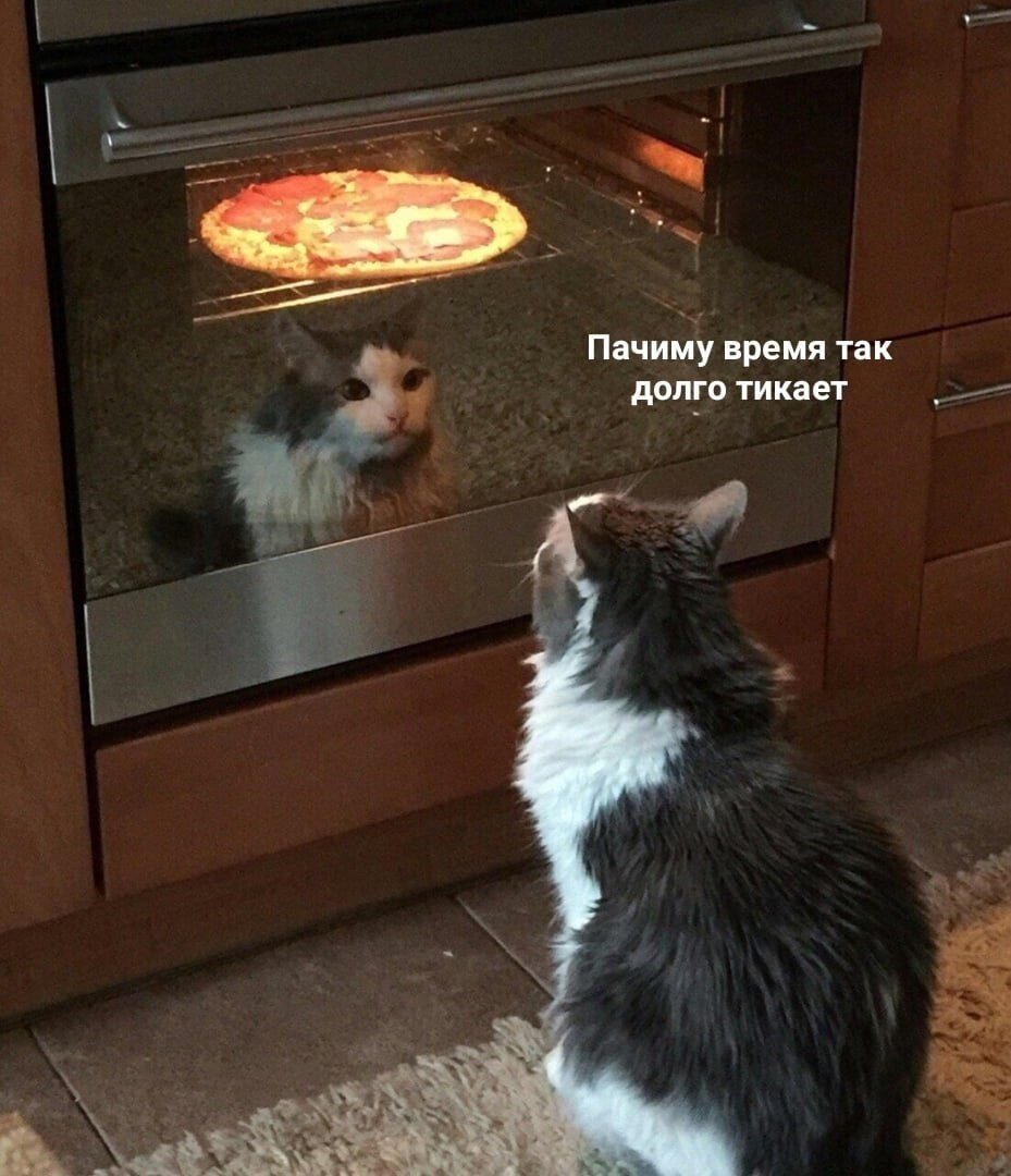 Источник: поисковик "Yandex"