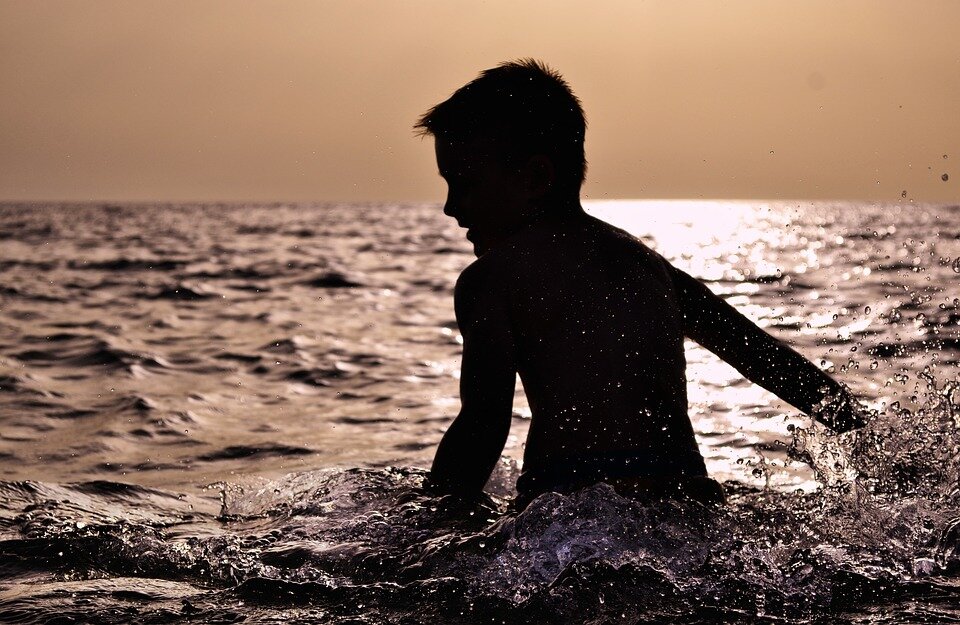 Image by DanaTentis from Pixabay