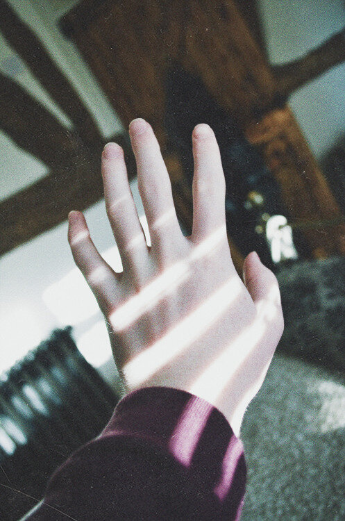 Закрытая Экосистема. 7. Этот мир