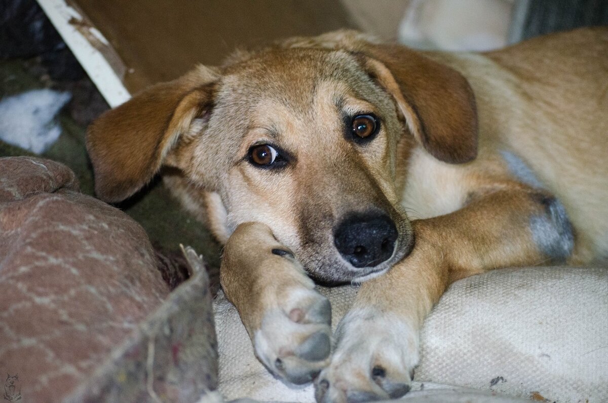 Фотография из личного архива