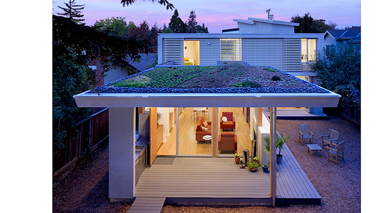                          Клумба на крыше веранды                   