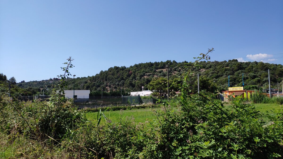 Легализация иностранцев в Италии 2020: что-то пошло не так