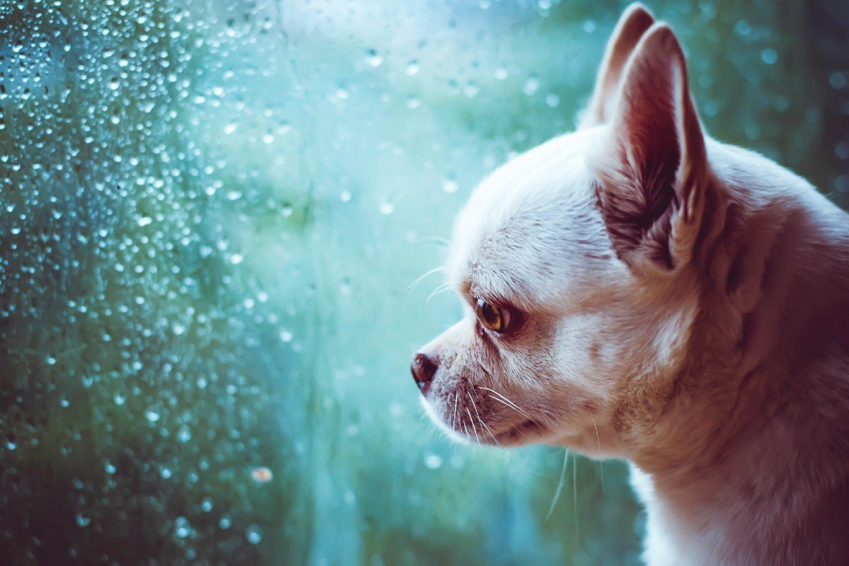 фото @depositphotos.com