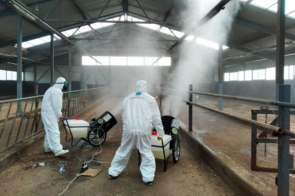 Дезинфекция коровника