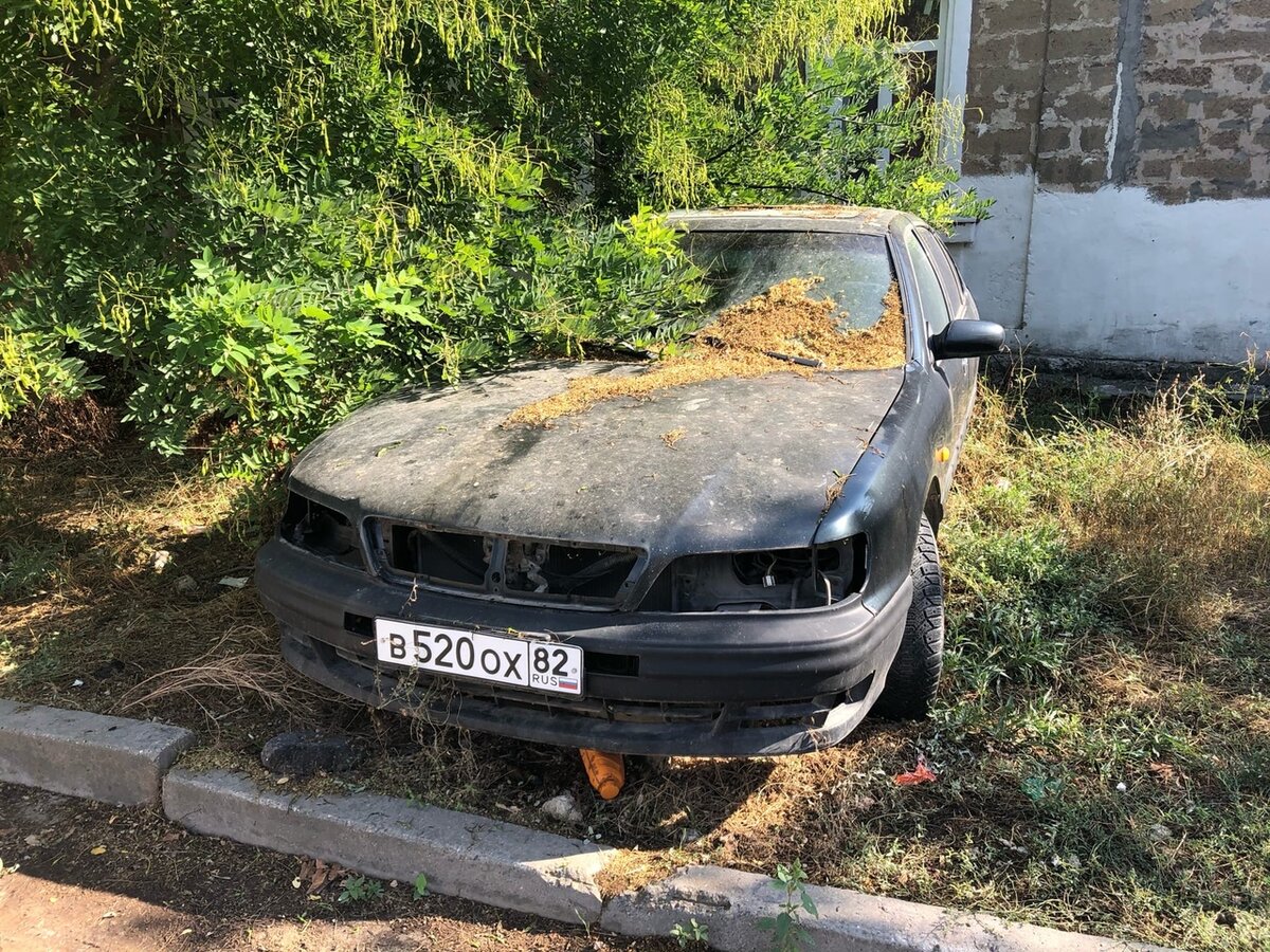 Фото автора