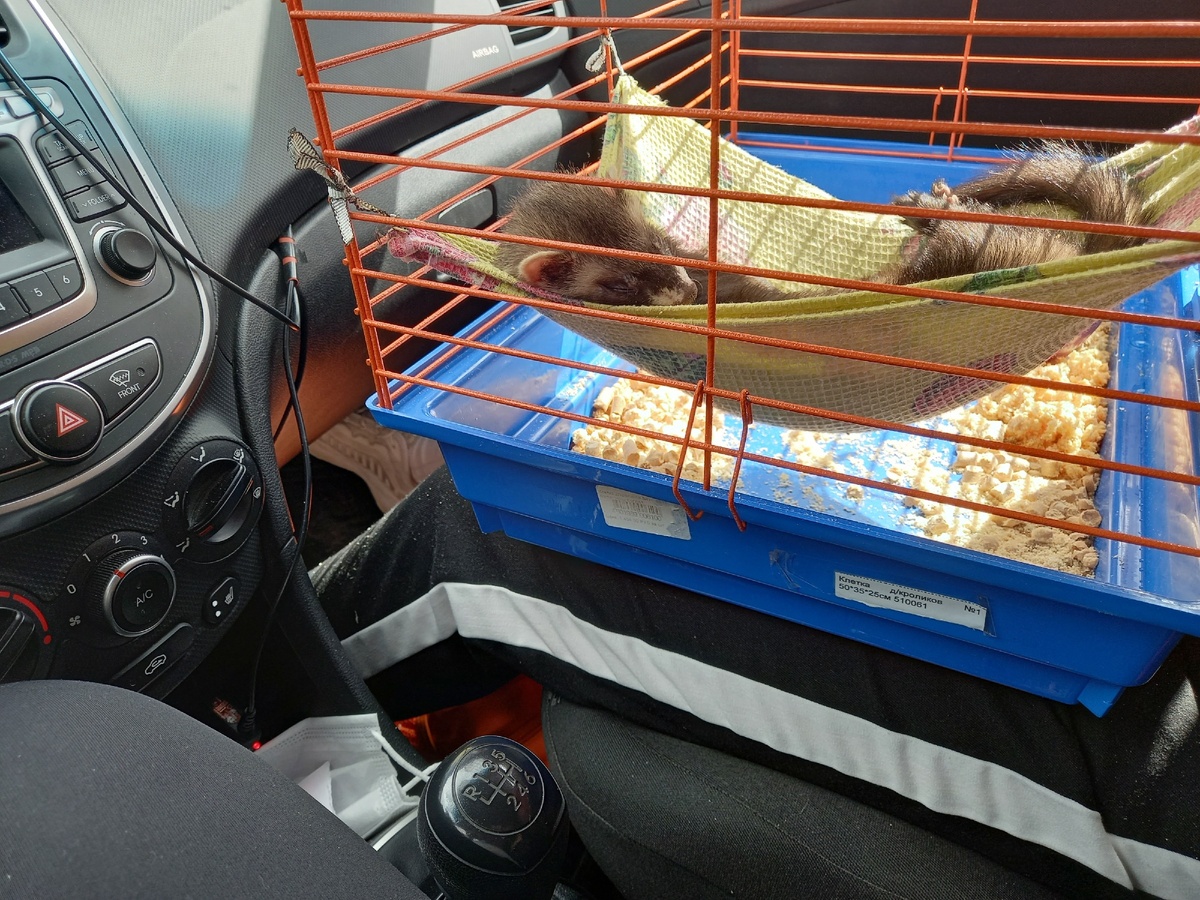 Милаша едет на базу отдыха 