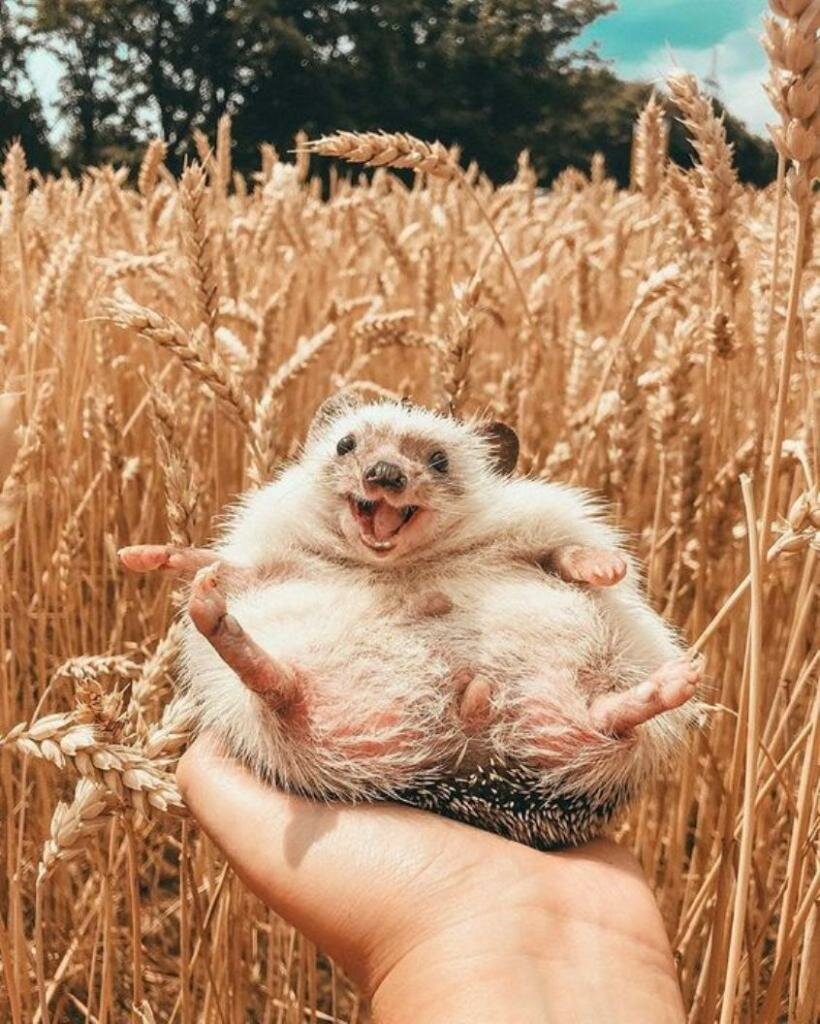 Фото: Яндекс