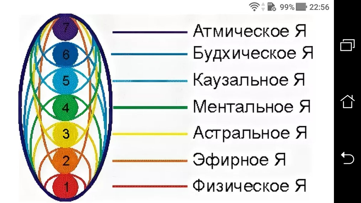 7 тел. Структура тонких тел человека. Энергетические центры человека чакры и тонкие тела. 7 Тел человека тонкоматериальная структура. Энергетические центры человека тонкие тела и физическое тело.