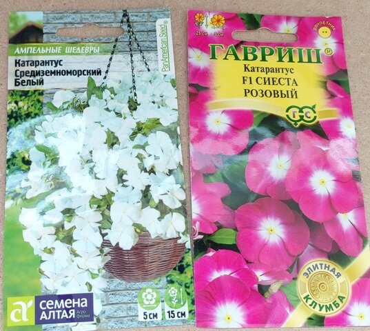 Может ещё кто-то не закрыл садово-огородный сезон 2020, а я уже готовлюсь к посеву цветов на рассаду для 2021 года.
Почему так рано? Я думаю, многие зададут этот вопрос.-2-3