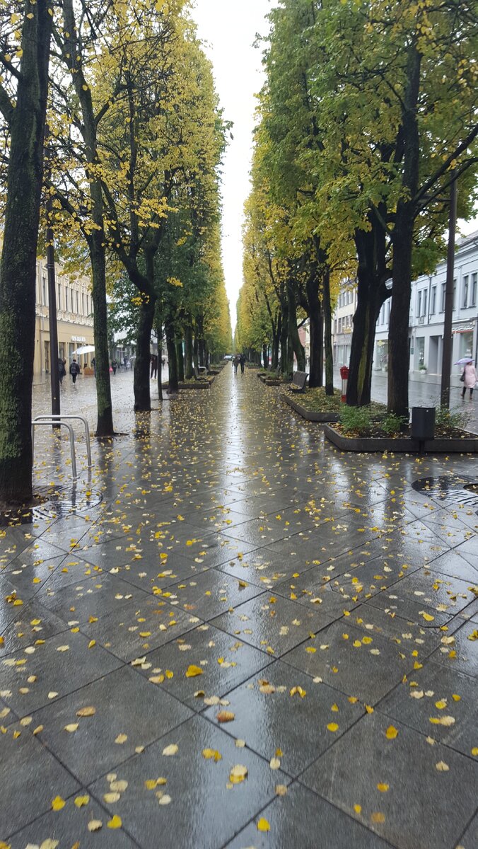 Дождь тогда был довольно частым явлением в Каунасе