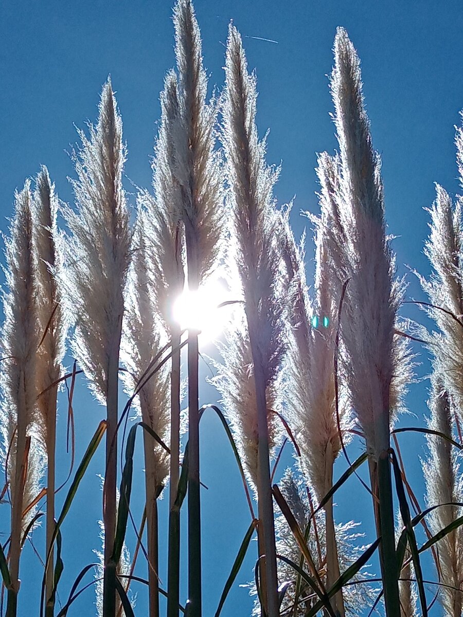 Фото автора. Полдень.