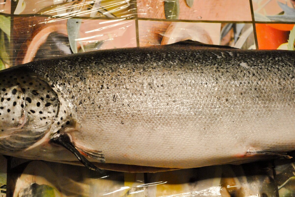 Рыба без чешуи. Помыта, но всё ещё заморожена.