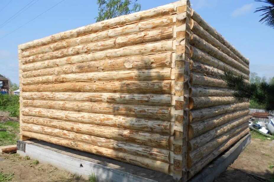 Фото из свободных источников.