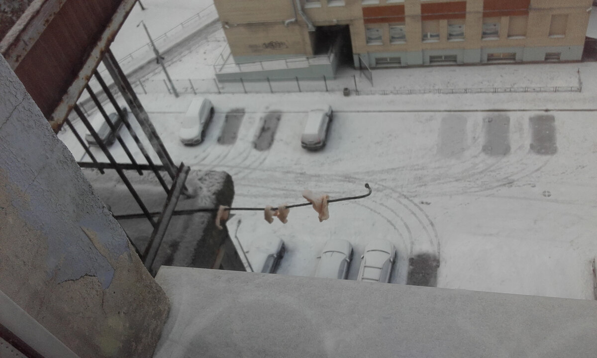 Фото автора. Это сало для синиц. Дикое зрелище, пожалуй. 