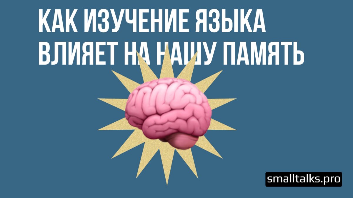 Как изучение языка влияет на нашу память | Small Talks | Онлайн-школа  иностранных языков | Дзен