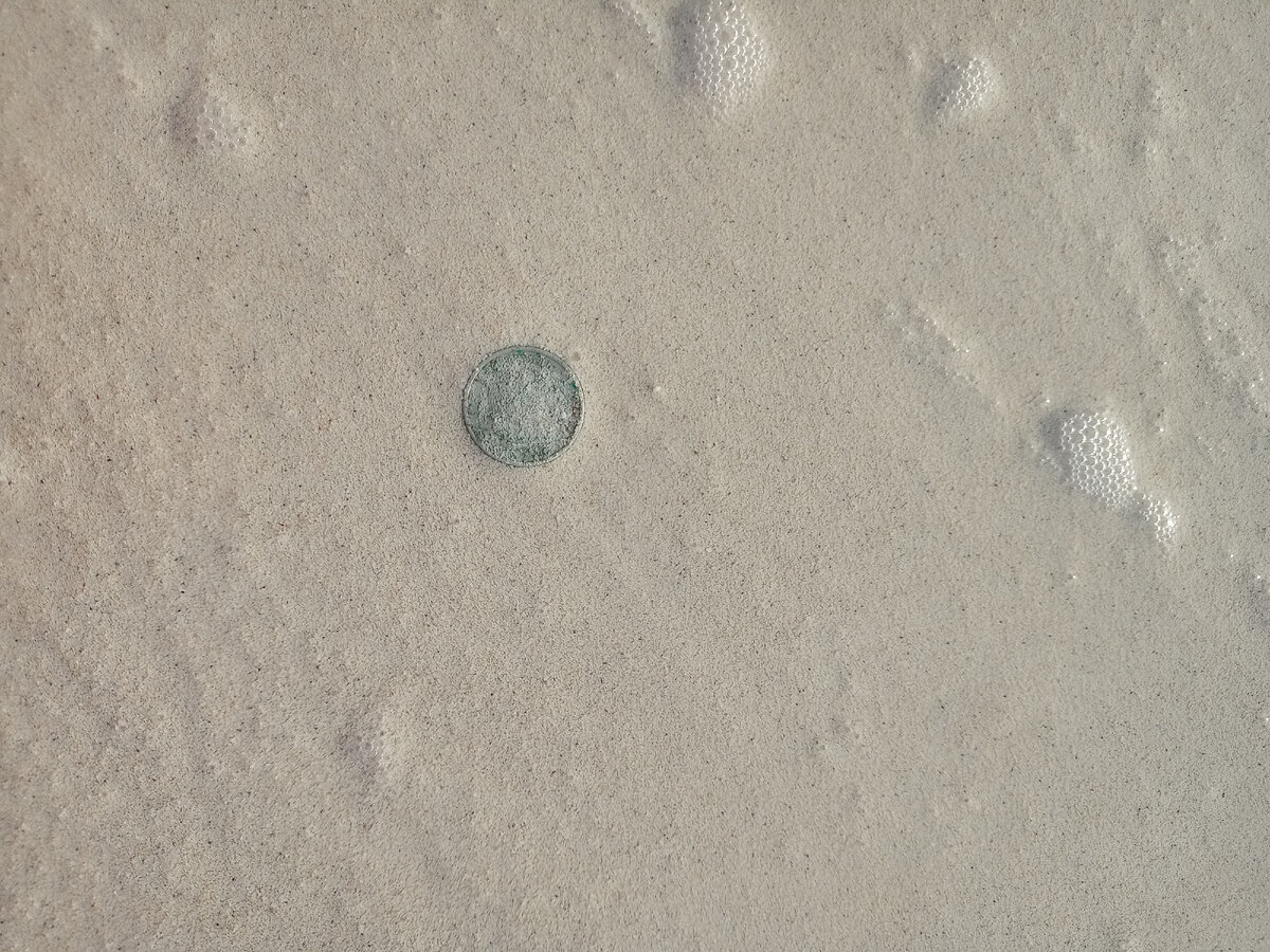 выбросило монетку на берег