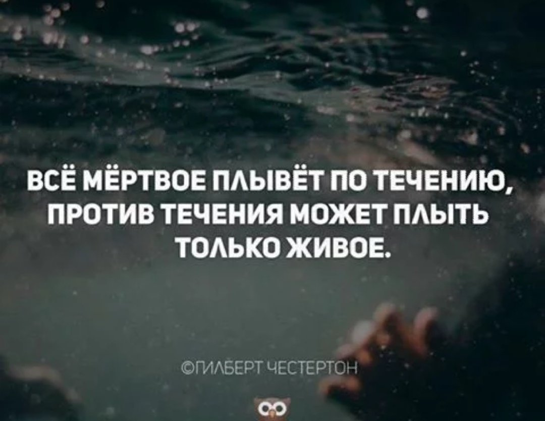 Только живи только целыми. Плыть против течения. Живая рыба плывет против течения дохлая по течению. Плыть против течения цитаты. Цитаты про течение.