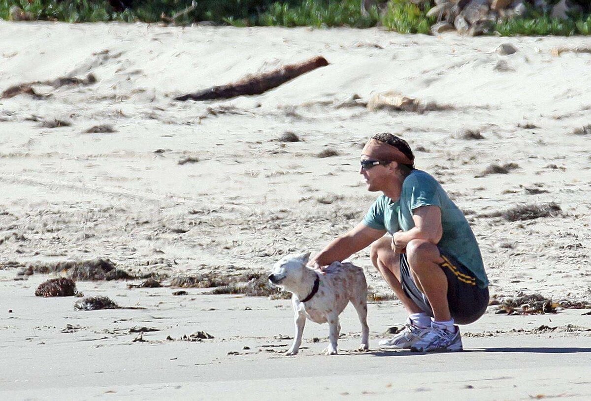 Пожарные спасают животных. Василий питомец. Спасение животных людьми. Спасители животных. Добрые люди спасают животных.