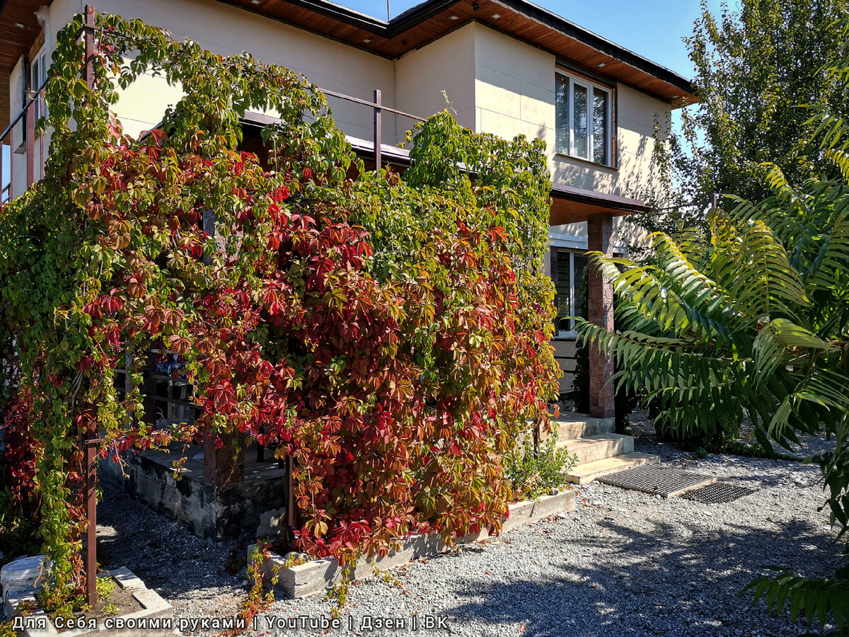 Вид на веранду со стороны огорода